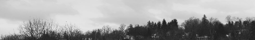 Arkell Springs